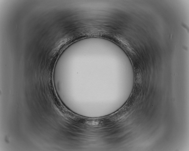 X0000097670687200802291501