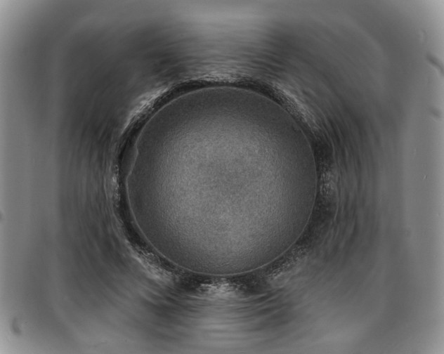 X0000097670688200802291501