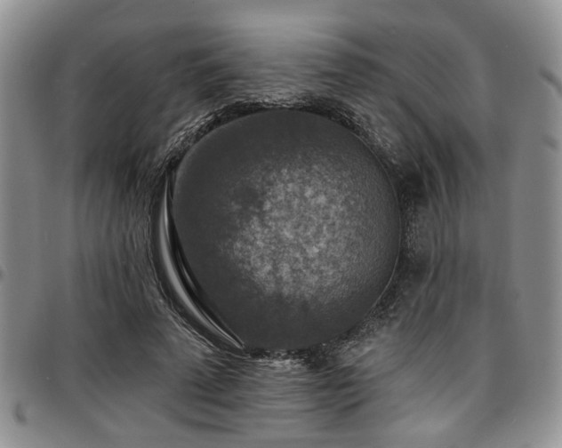 X0000097670689200802291501