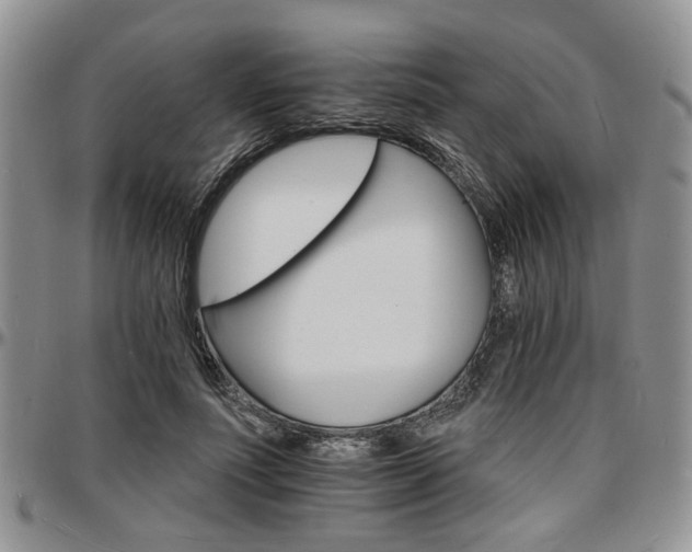 X0000097670691200802291501