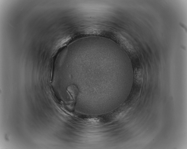 X0000097670692200802291501
