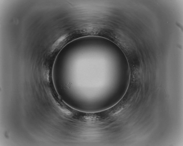 X0000097670693200802291501