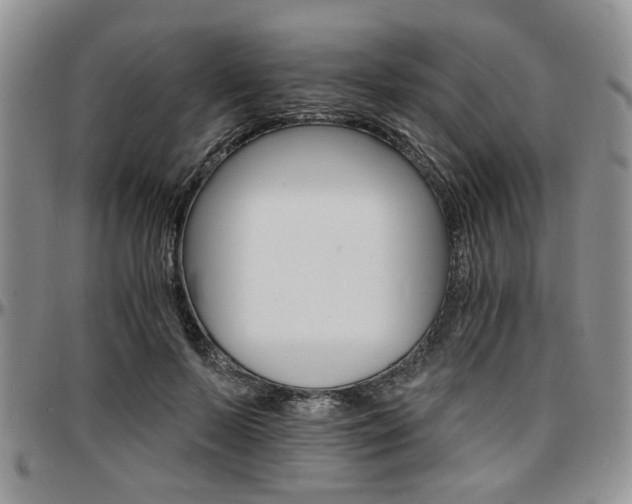 X0000097670695200802291501