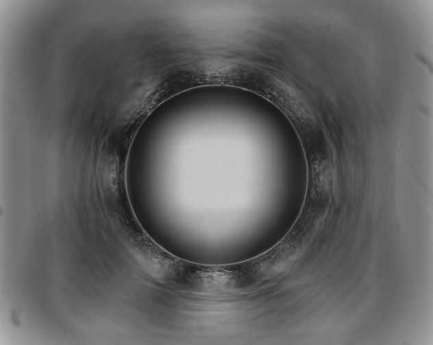 X0000097670698200802291501