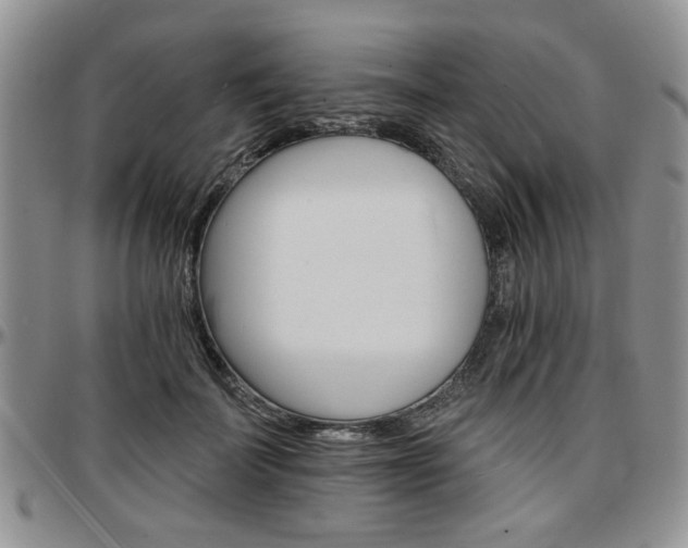 X0000097670699200802291501
