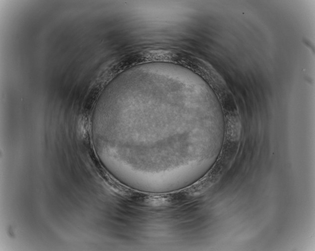 X0000097670701200802291501