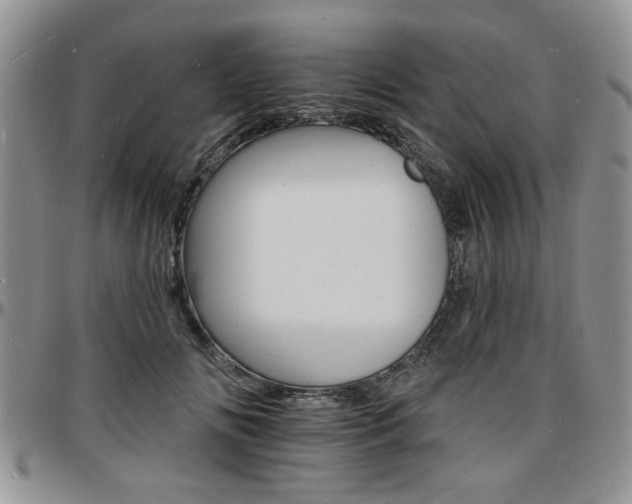 X0000097670702200802291501