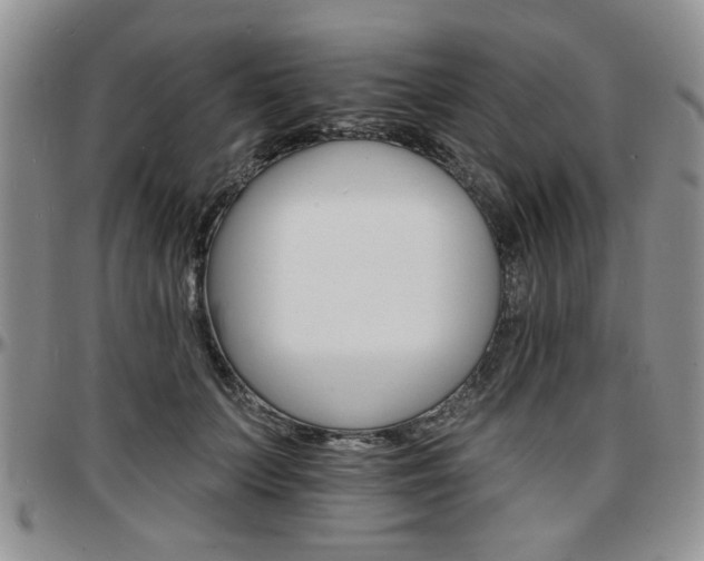X0000097670703200802291501