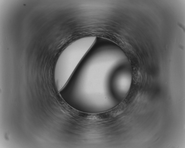 X0000097670704200802291500