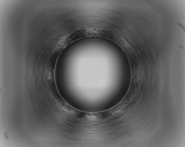 X0000097670706200802291500