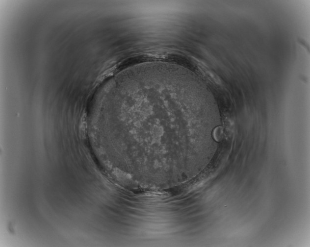X0000097670707200802291500