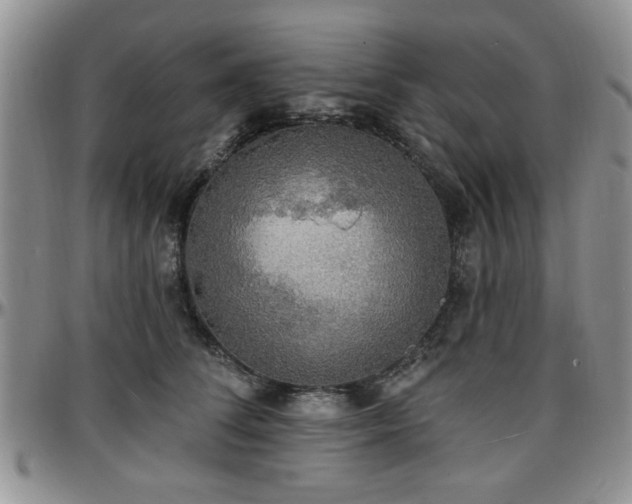 X0000097670708200802291500