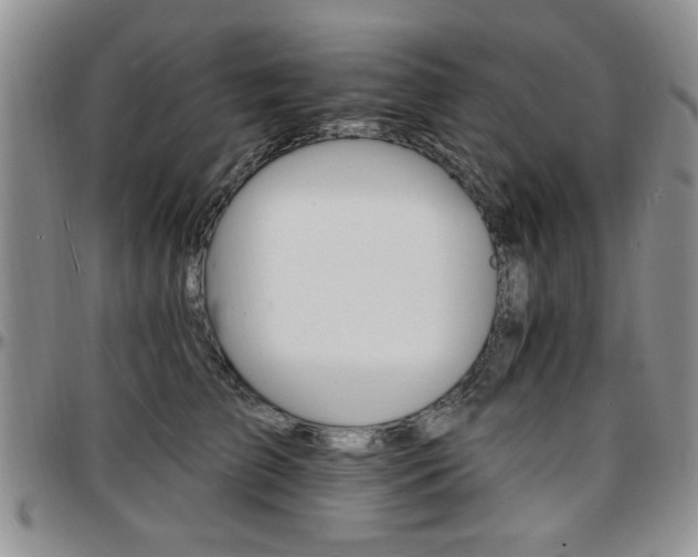 X0000097670709200802291500