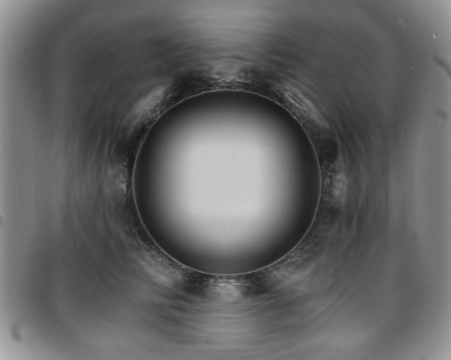 X0000097670710200802291500