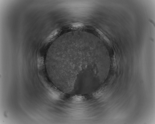 X0000097670711200802291500