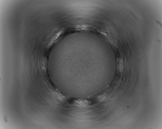 X0000097670712200802291500
