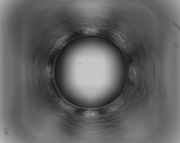 X0000097670714200802291500