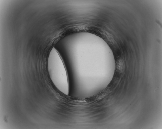 X0000097670715200802291500