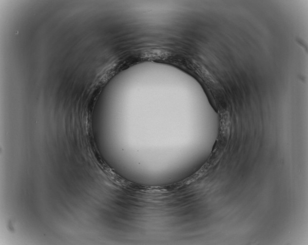 X0000097670716200802291500