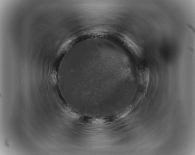 X0000097670718200802291500