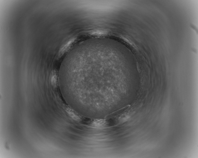 X0000097670720200802291500