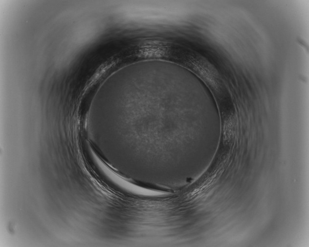 X0000097670722200802291459