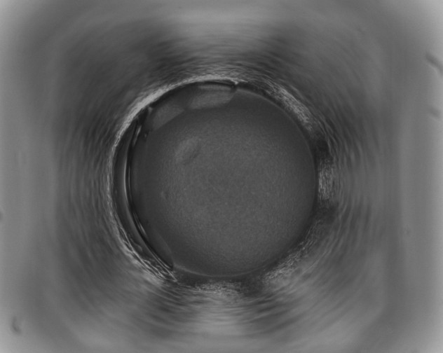 X0000097670724200802291459