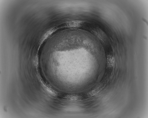 X0000097670726200802291459