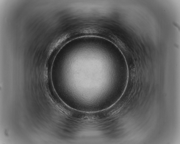 X0000097670727200802291459