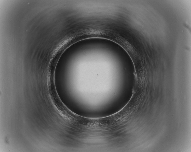 X0000097670728200802291459