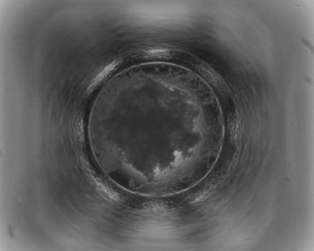 X0000097670729200802291459