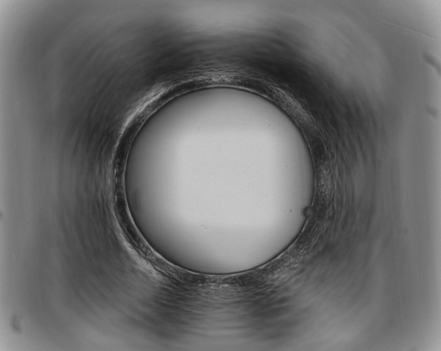 X0000097670730200802291459