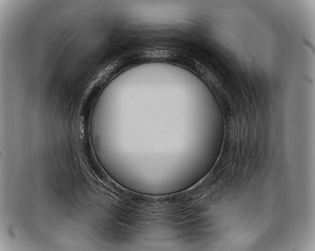 X0000097670731200802291500