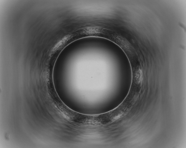 X0000097670732200802291500
