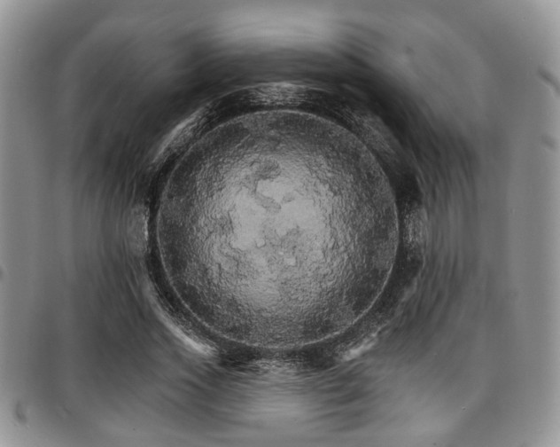 X0000097670733200802291500