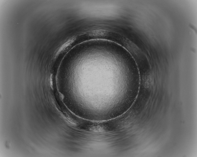 X0000097670735200802291500