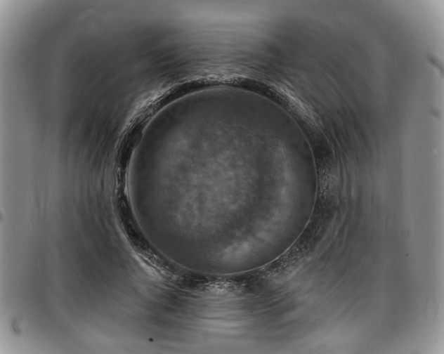 X0000097670736200802291500