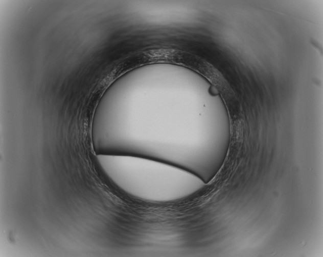 X0000097670737200802291500