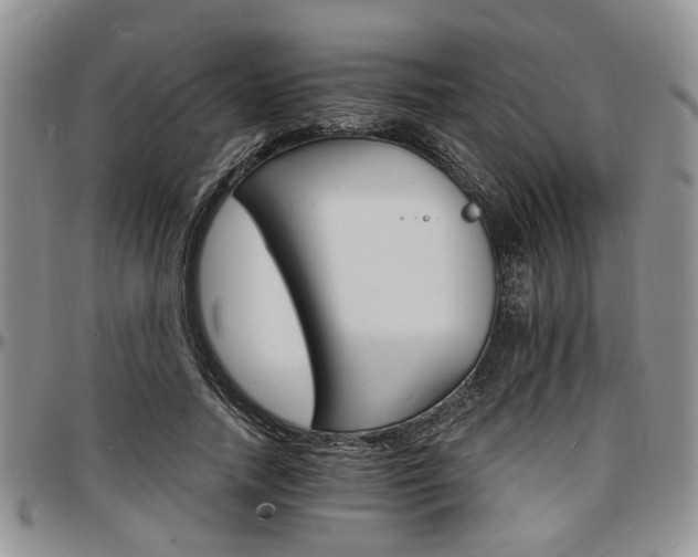X0000097670738200802291500