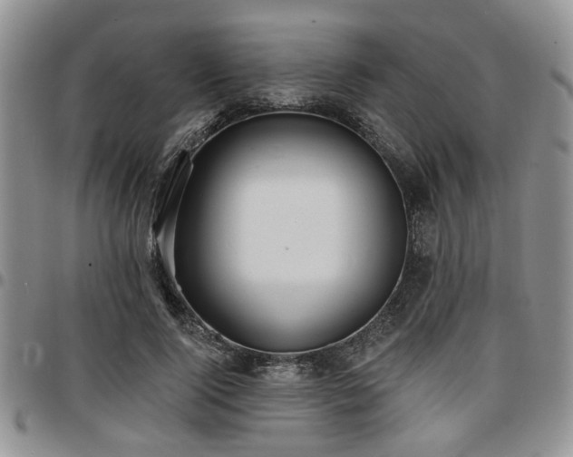 X0000097670740200802291500