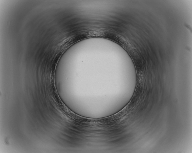 X0000097670741200802291500