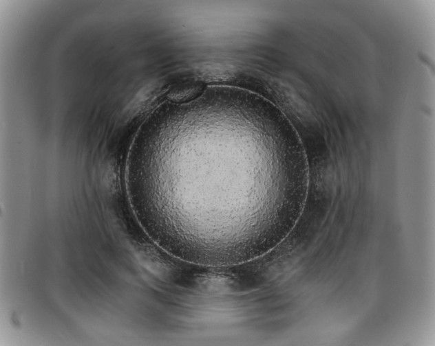 X0000097670743200802291500