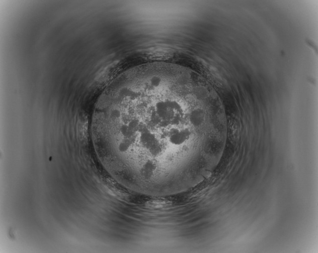 X0000097670745200802291500