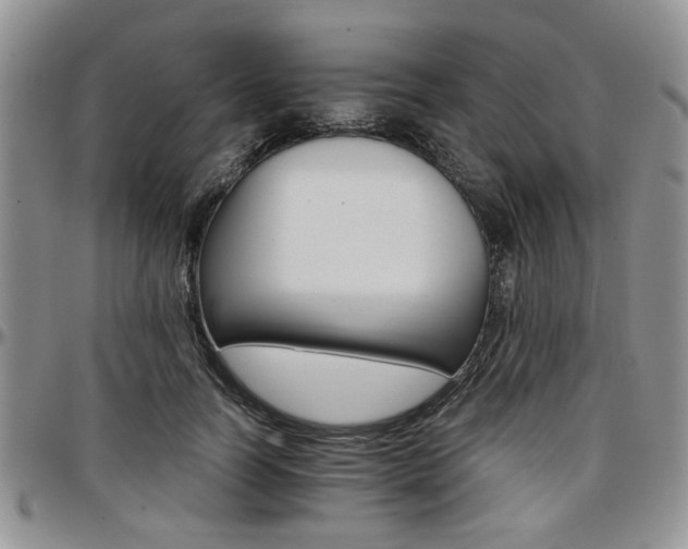 X0000097670746200802291500