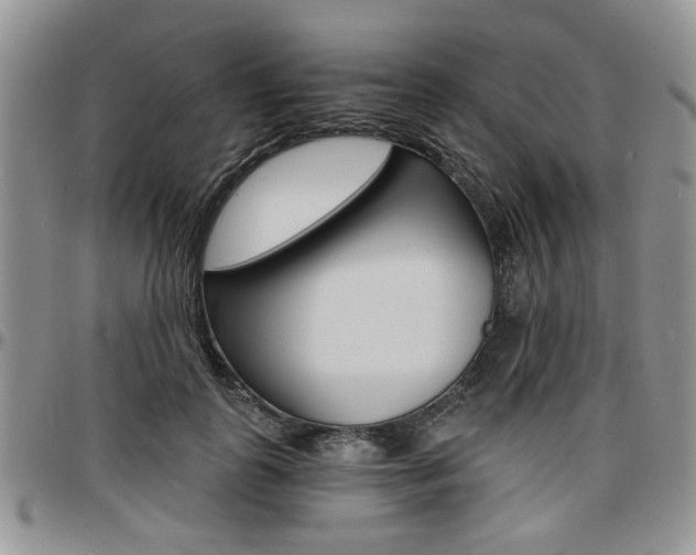 X0000097670747200802291500