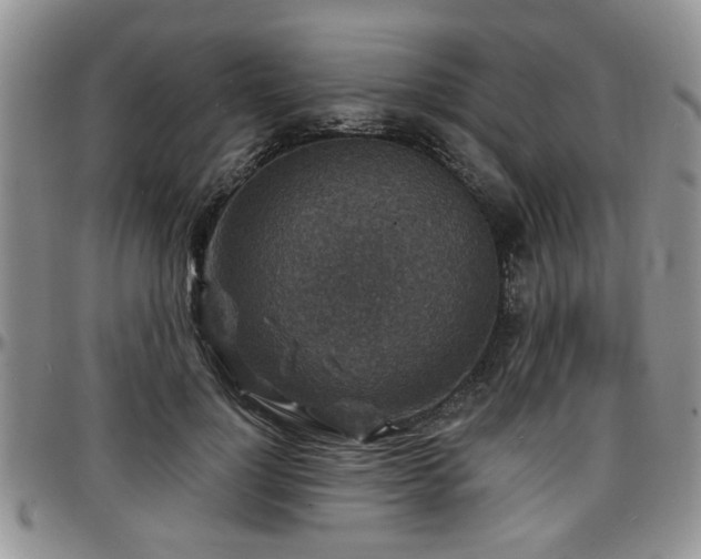 X0000097670748200802291500