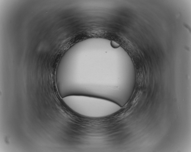 X0000097670749200802291500