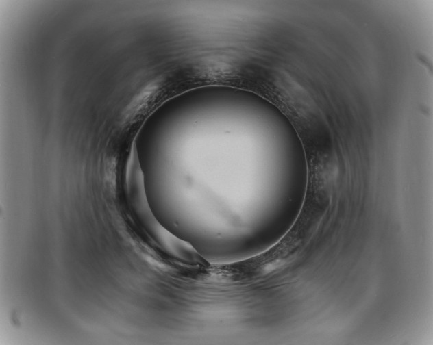 X0000097670750200802291500