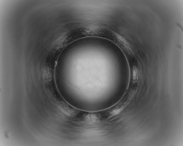 X0000097670751200802291500
