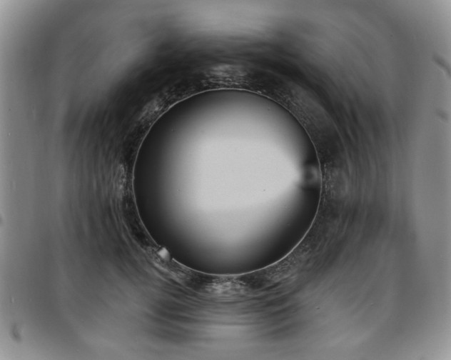 X0000097670752200802291500
